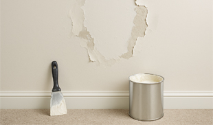 Surface Preparation & Repairs