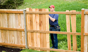 Fence Installation
