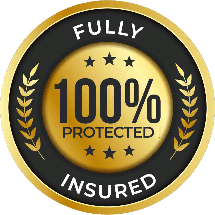 25 years guarantee badge